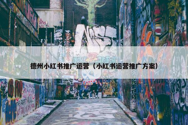 德州小红书推广运营（小红书运营推广方案）