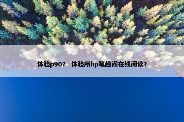 体验p90？ 体验所hp笔趣阁在线阅读？
