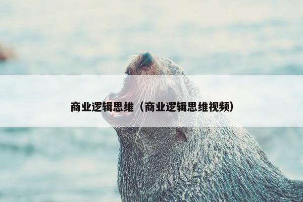 商业逻辑思维（商业逻辑思维视频）