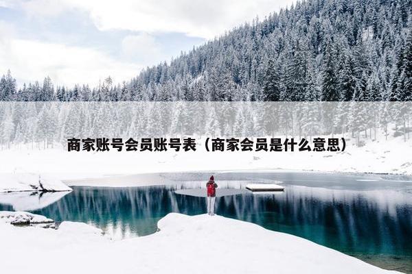 商家账号会员账号表（商家会员是什么意思）