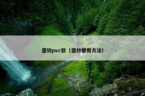 壶铃pvc软（壶铃使用方法）