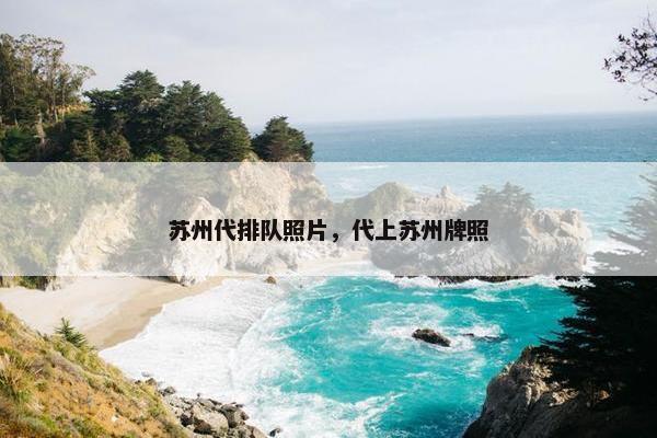苏州代排队照片，代上苏州牌照