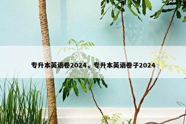 专升本英语卷2024，专升本英语卷子2024