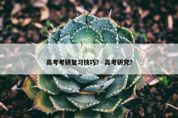 高考考研复习技巧？ 高考研究？