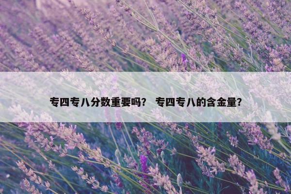 专四专八分数重要吗？ 专四专八的含金量？