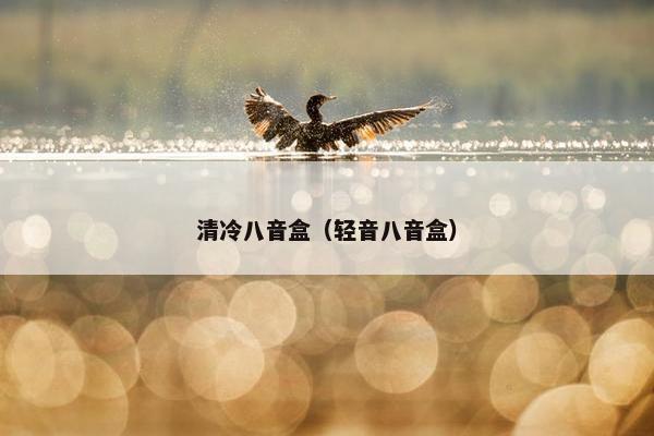 清冷八音盒（轻音八音盒）