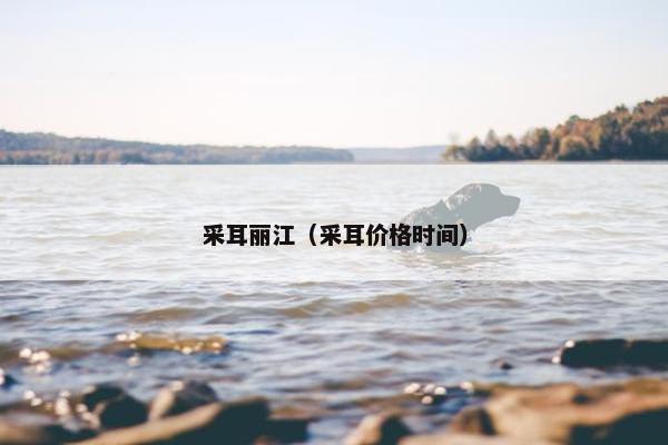 采耳丽江（采耳价格时间）