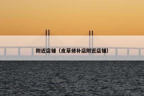 附近店铺（皮草修补店附近店铺）
