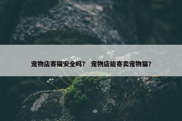 宠物店寄猫安全吗？ 宠物店能寄卖宠物猫？