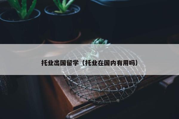 托业出国留学（托业在国内有用吗）