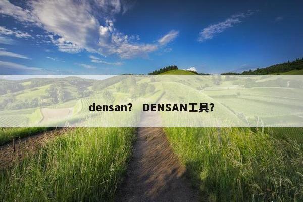 densan？ DENSAN工具？