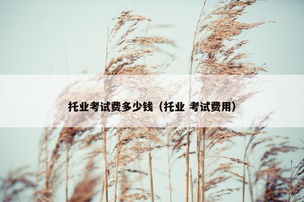 托业考试费多少钱（托业 考试费用）