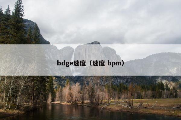 bdge速度（速度 bpm）