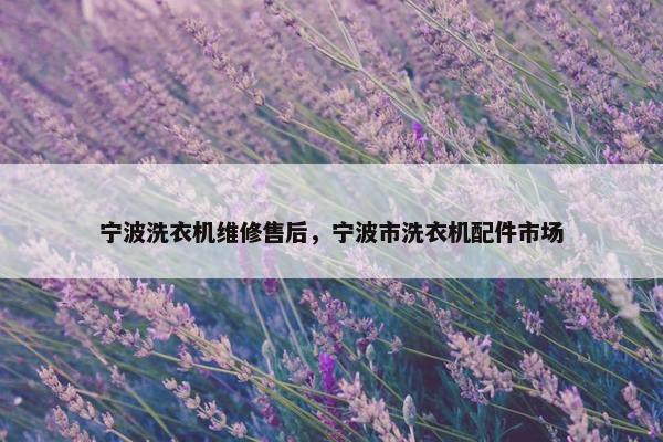 宁波洗衣机维修售后，宁波市洗衣机配件市场