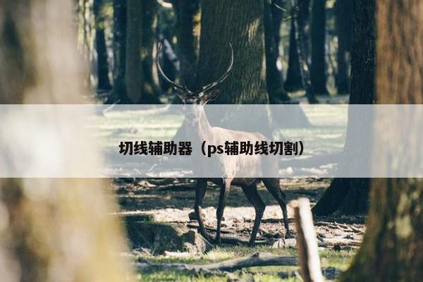 切线辅助器（ps辅助线切割）