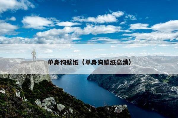 单身狗壁纸（单身狗壁纸高清）