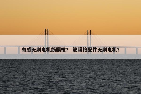 有感无刷电机筋膜枪？ 筋膜枪配件无刷电机？