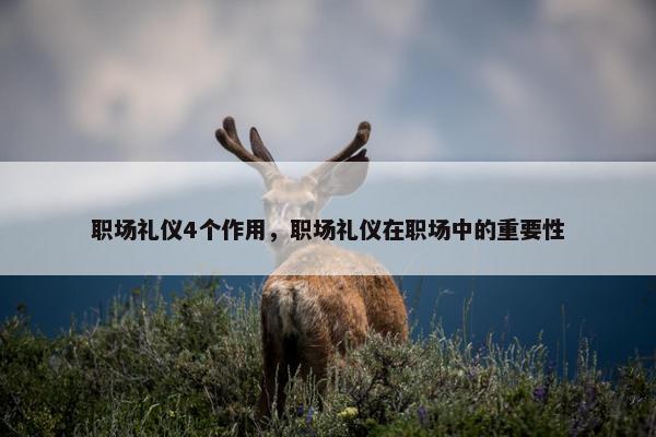职场礼仪4个作用，职场礼仪在职场中的重要性