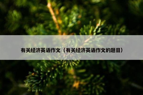 有关经济英语作文（有关经济英语作文的题目）