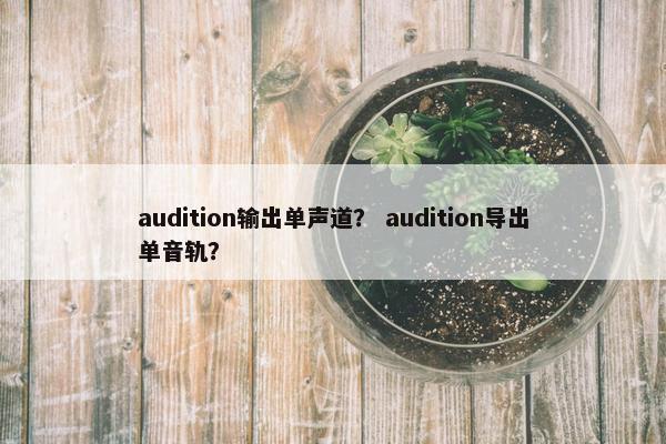 audition输出单声道？ audition导出单音轨？