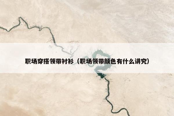 职场穿搭领带衬衫（职场领带颜色有什么讲究）