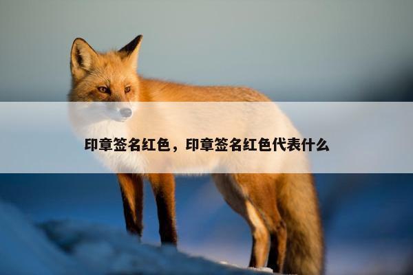 印章签名红色，印章签名红色代表什么