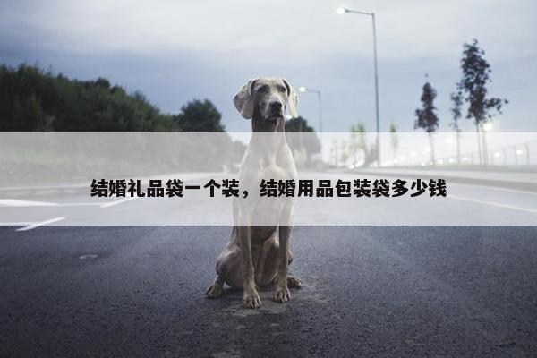 结婚礼品袋一个装，结婚用品包装袋多少钱