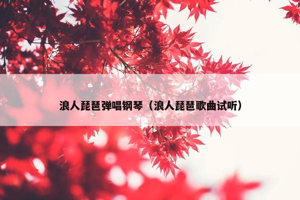 浪人琵琶弹唱钢琴（浪人琵琶歌曲试听）