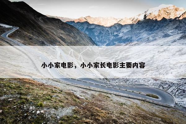 小小家电影，小小家长电影主要内容