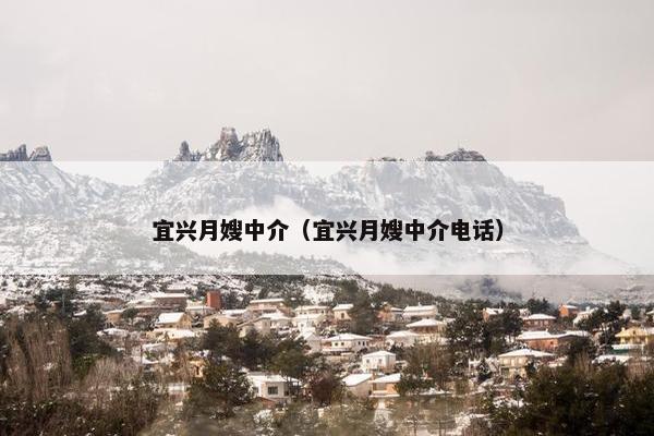 宜兴月嫂中介（宜兴月嫂中介电话）