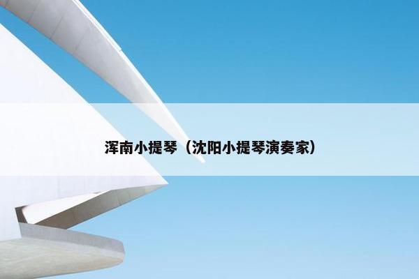 浑南小提琴（沈阳小提琴演奏家）