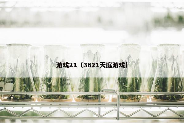 游戏21（3621天庭游戏）