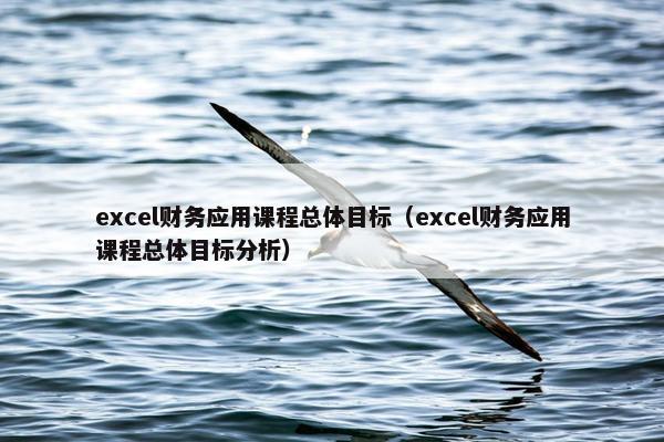 excel财务应用课程总体目标（excel财务应用课程总体目标分析）