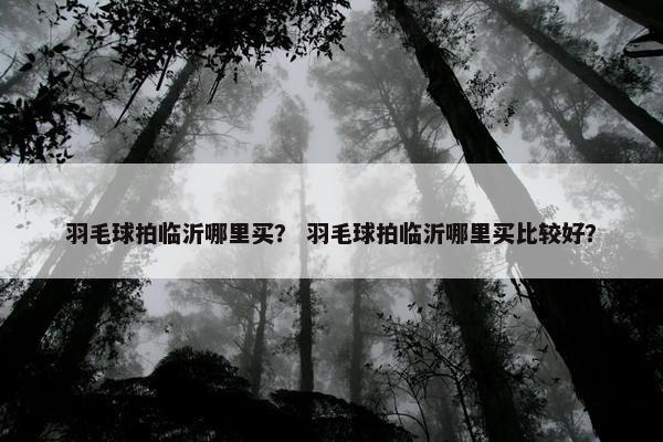 羽毛球拍临沂哪里买？ 羽毛球拍临沂哪里买比较好？
