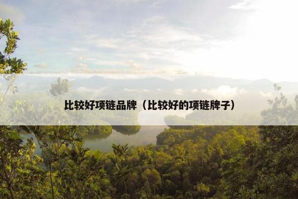 比较好项链品牌（比较好的项链牌子）