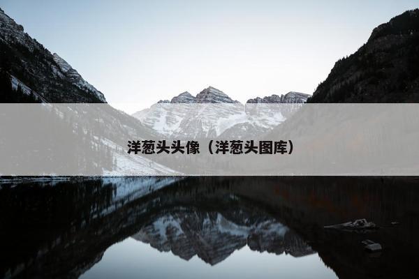 洋葱头头像（洋葱头图库）