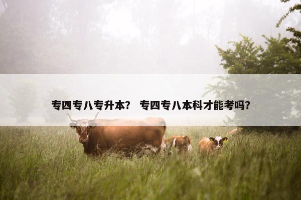 专四专八专升本？ 专四专八本科才能考吗？