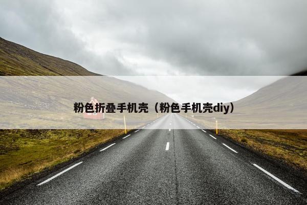 粉色折叠手机壳（粉色手机壳diy）