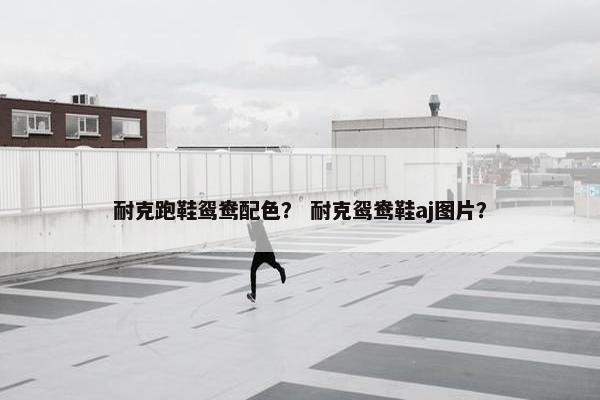 耐克跑鞋鸳鸯配色？ 耐克鸳鸯鞋aj图片？