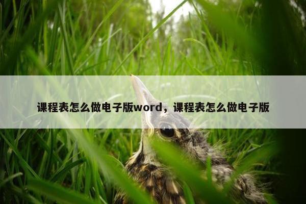 课程表怎么做电子版word,课程表怎么做电子版 课程表怎么做电子版word,课程表怎么做电子版
