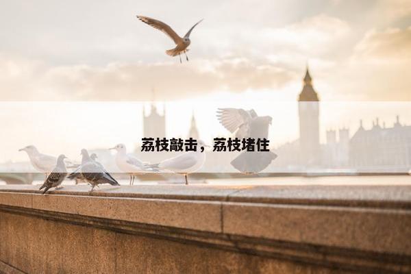 荔枝敲击,荔枝堵住 荔枝敲击,荔枝堵住