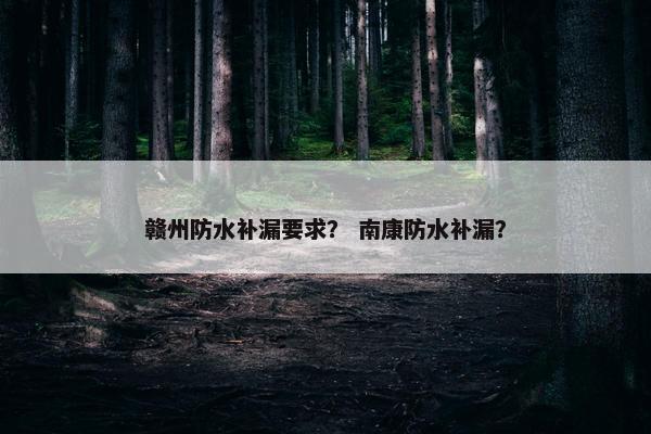 赣州防水补漏要求？ 南康防水补漏？