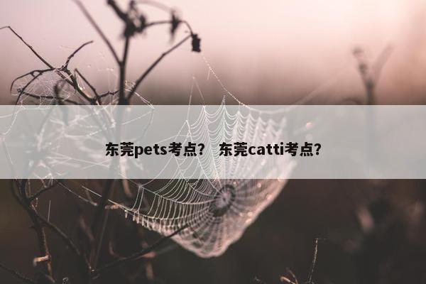 东莞pets考点？ 东莞catti考点？