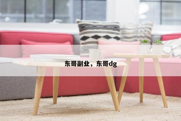 东哥副业，东哥dg