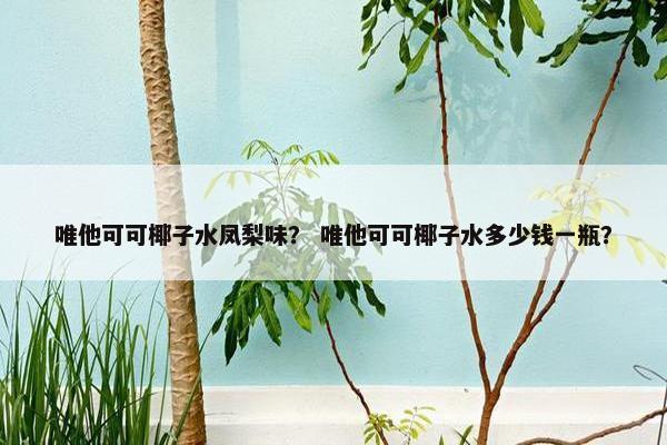 唯他可可椰子水凤梨味？ 唯他可可椰子水多少钱一瓶？