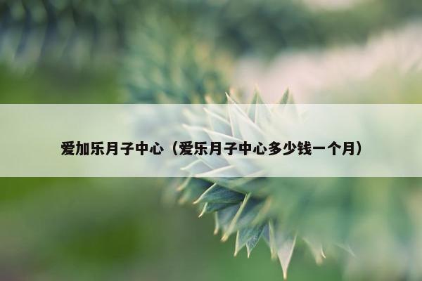 爱加乐月子中心（爱乐月子中心多少钱一个月）