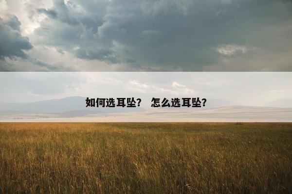 如何选耳坠? 怎么选耳坠? 如何选耳坠? 怎么选耳坠?