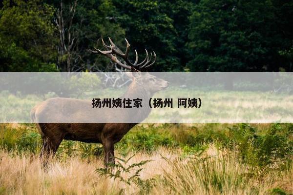 扬州姨住家（扬州 阿姨）