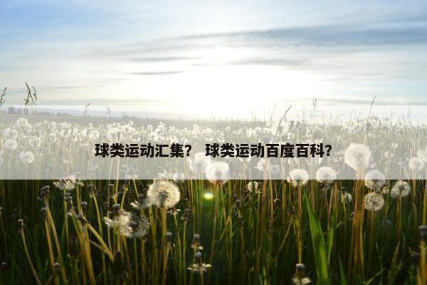 球类运动汇集？ 球类运动百度百科？