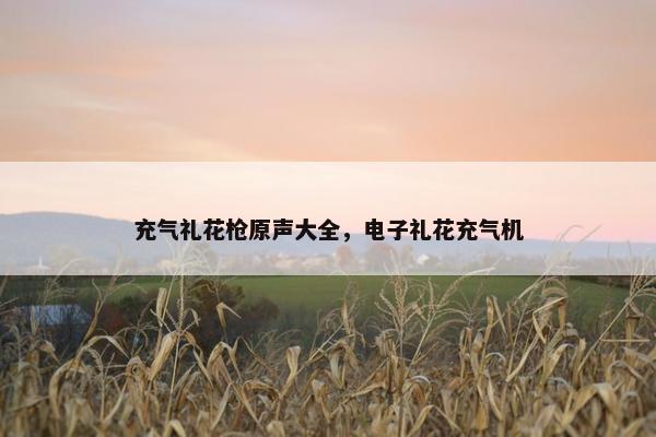 充气礼花枪原声大全，电子礼花充气机